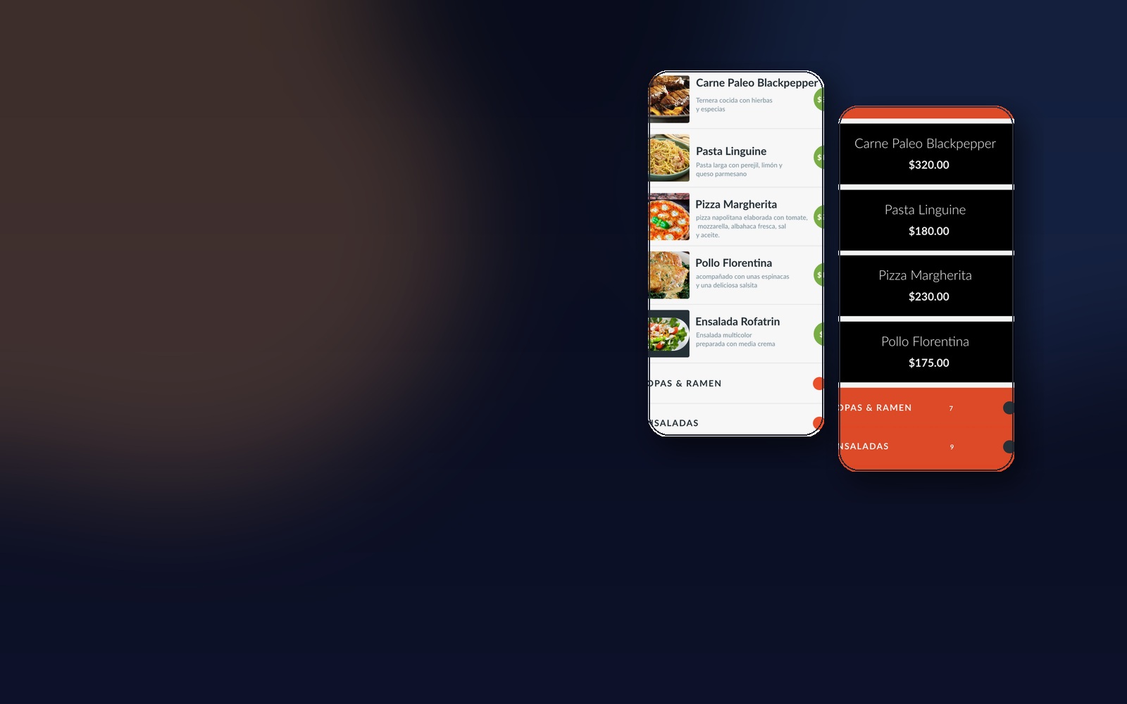 Cerrey Control System — imagen de apoyo